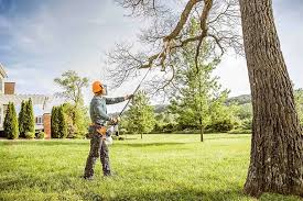 How Our Tree Care Process Works  in  Lindale, TX