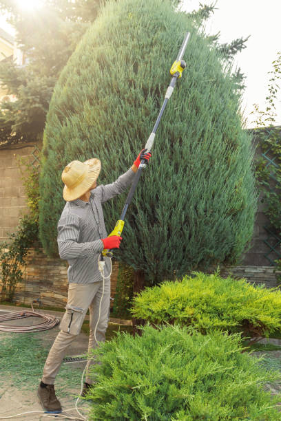 Best Lawn Watering Services  in Lindale, TX